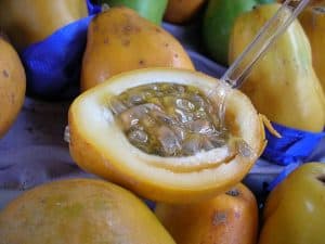 granadilla