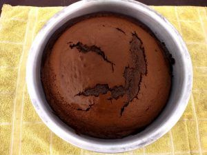 Bizcochuelo vegano